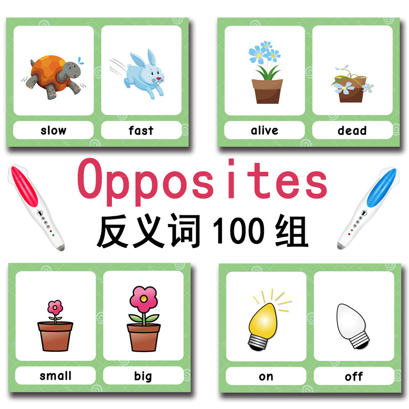 The 100 Groups Opposites Flash - Kids Toys Latest recension och pris