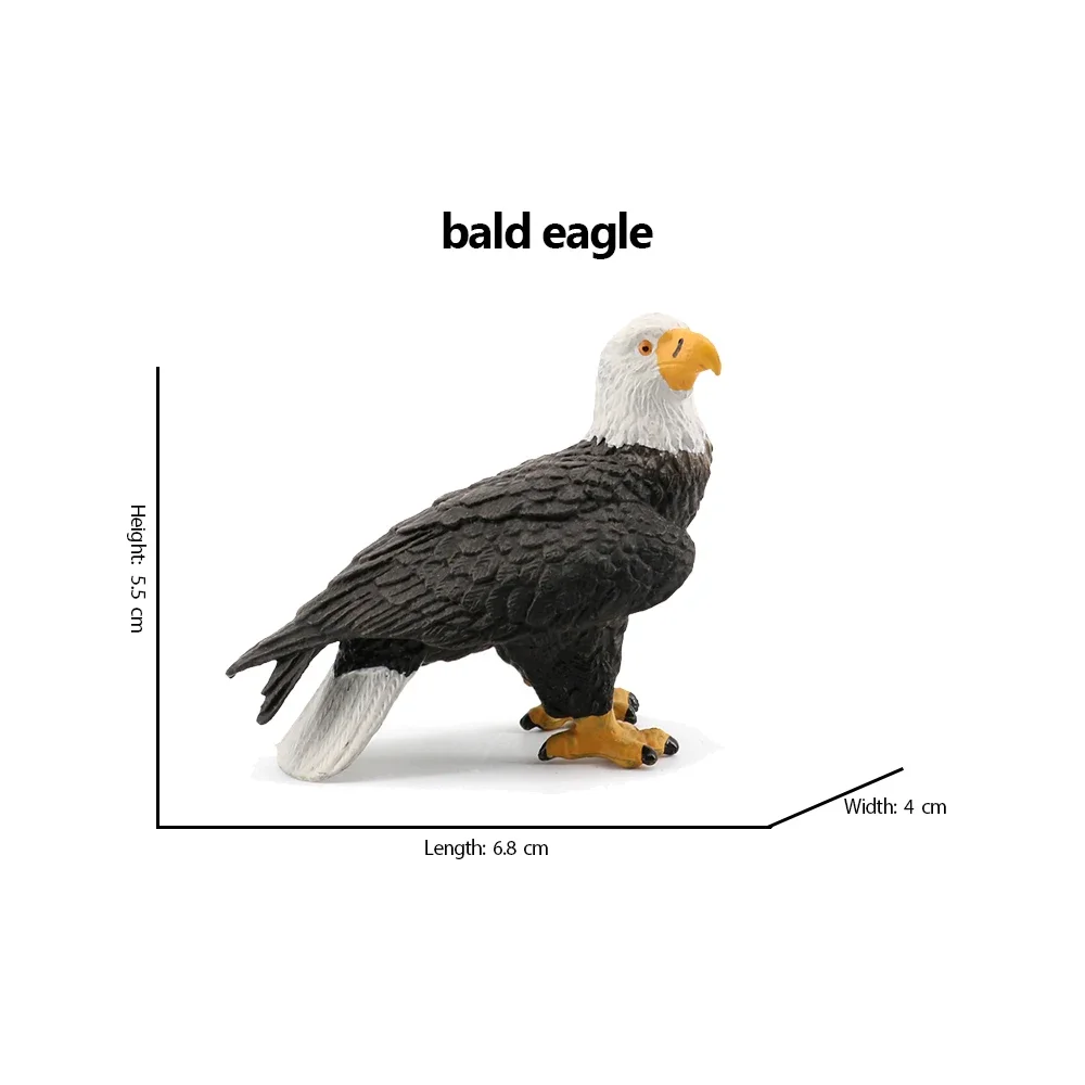 Bald Eagle pelican Tucan Turke - Kids Toys Under 200 recension och pris